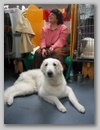 maggie_wkc07d.jpg