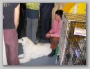 maggie_wkc07e.jpg