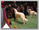maggie_wkc07g.jpg