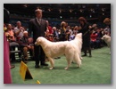 maggie_wkc07k.jpg