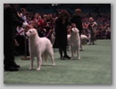 maggie_wkc07n.jpg